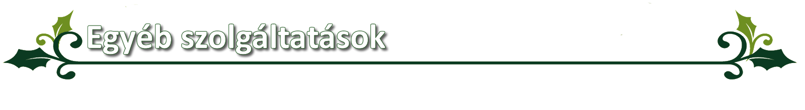 Egyéb szolgáltatások